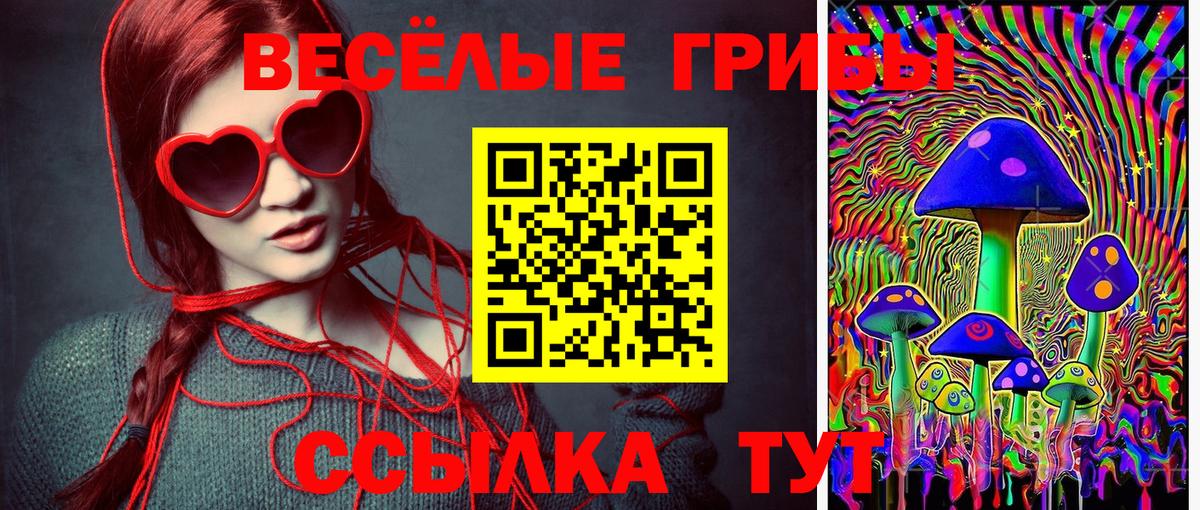 Галлюциногенные грибы Psilocybine cubensis Обь