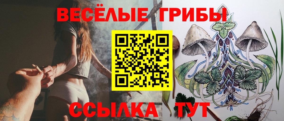 Псилоцибиновые грибы ЛСД  Вход с VPN  Обь  Псилоцибиновые грибы мухоморы 